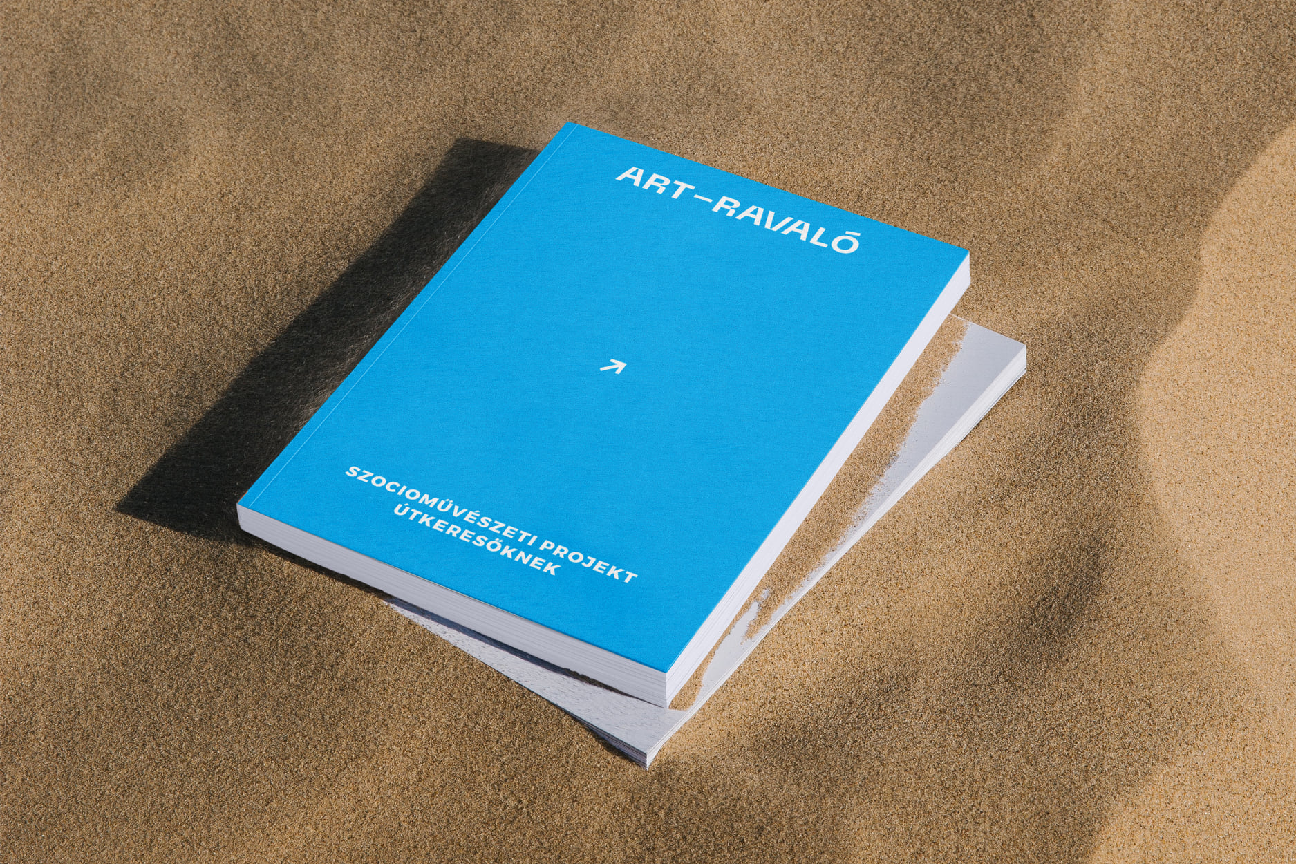 154015131 2917220708600535 1191973892943387376 n